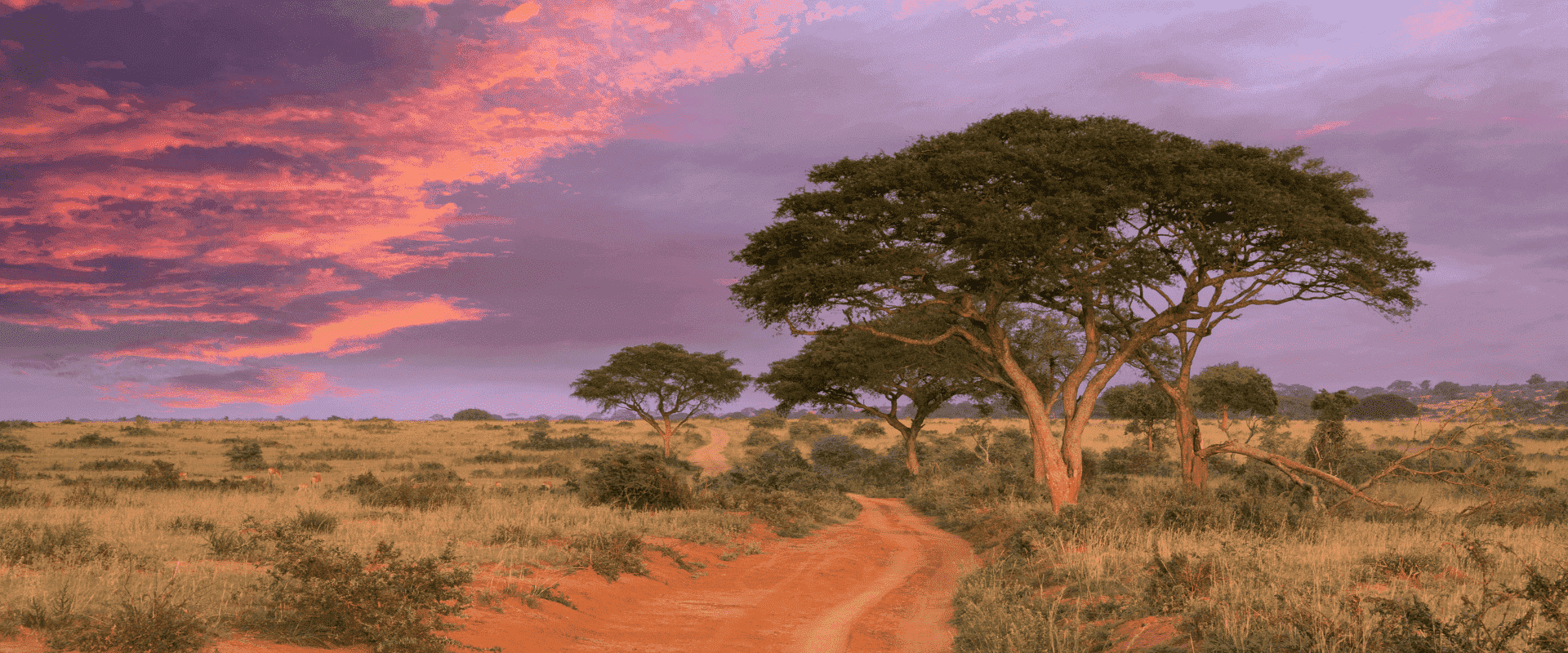 Internet mobilny Uganda