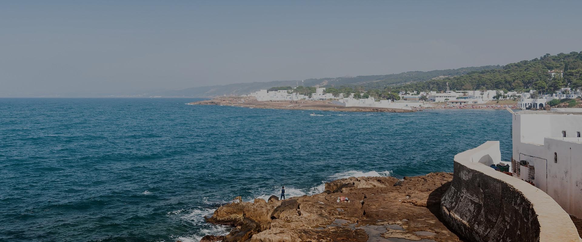 mobilny internet Algieria