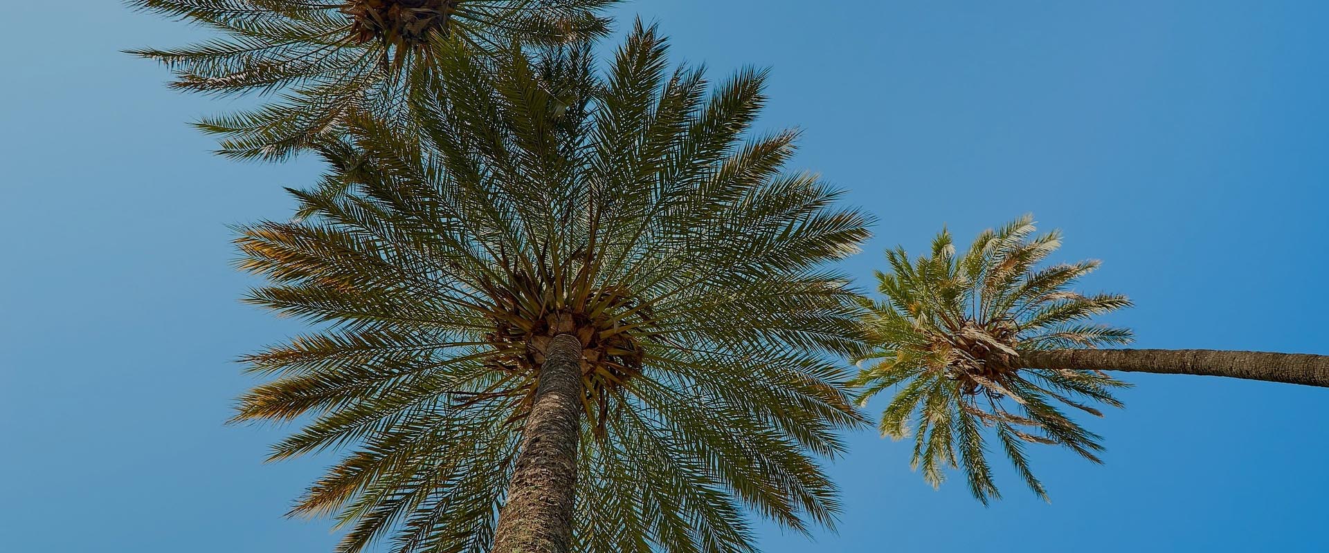 internet mobilny fidżi