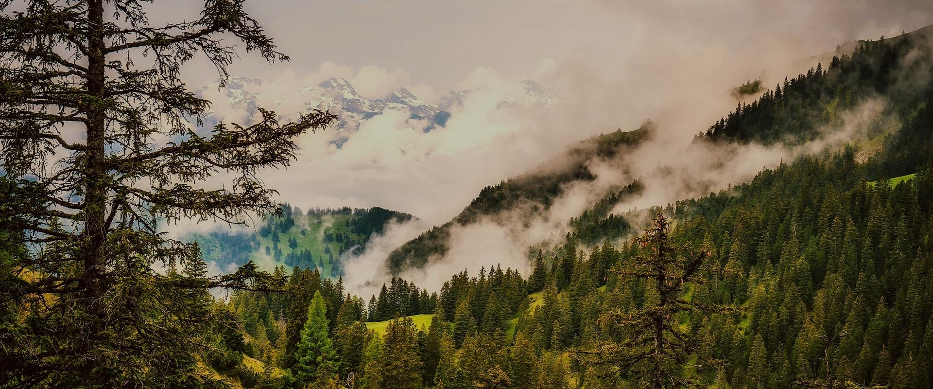 mobilny internet Liechtenstein