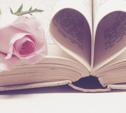 Jak wyglądają Walentynki na świecie? - XOXO WiFi