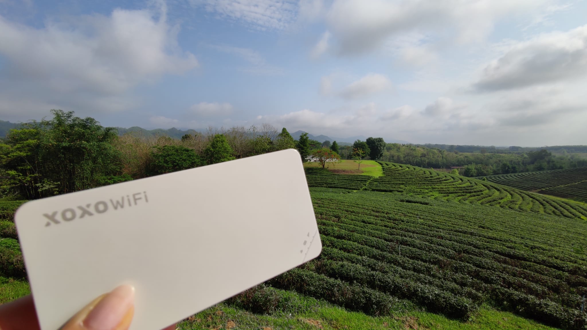 Internet za granicą. Na co uważać? Gdzie najdrożej?