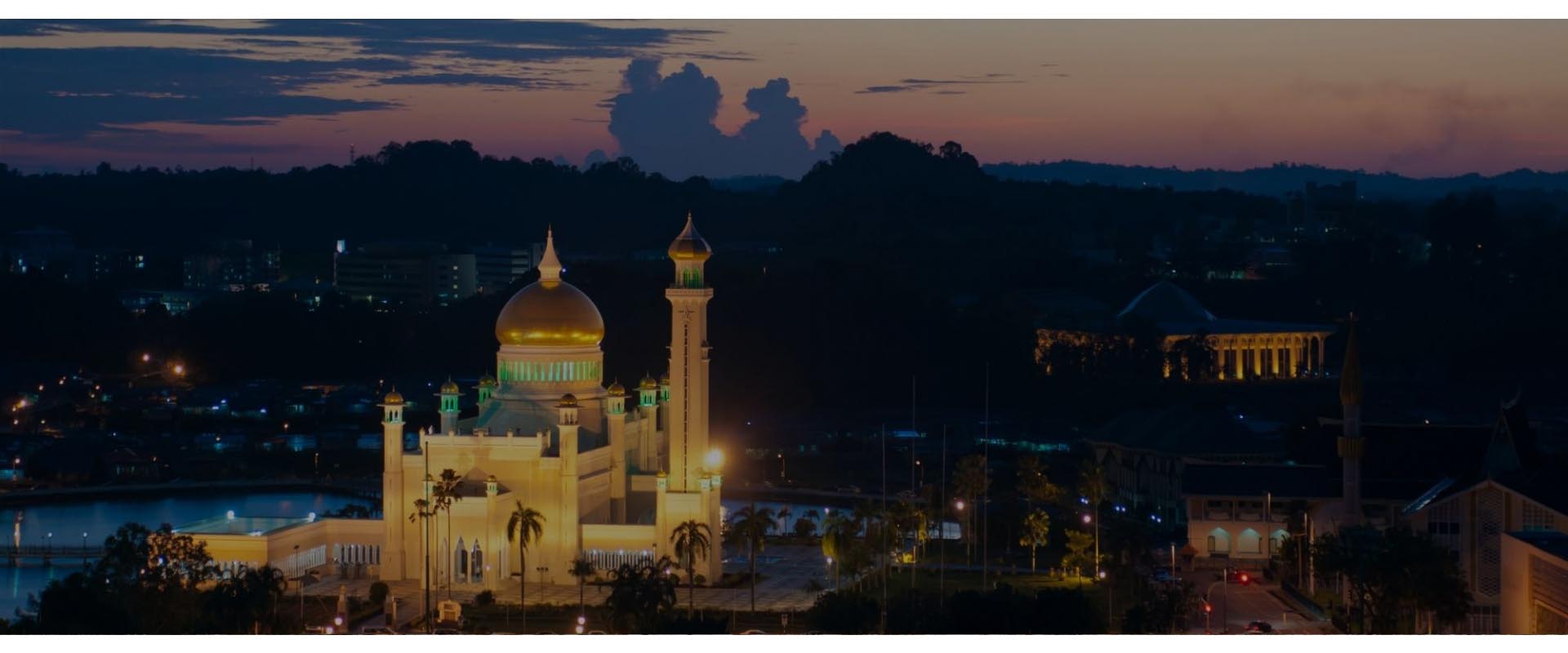 internet mobilny brunei