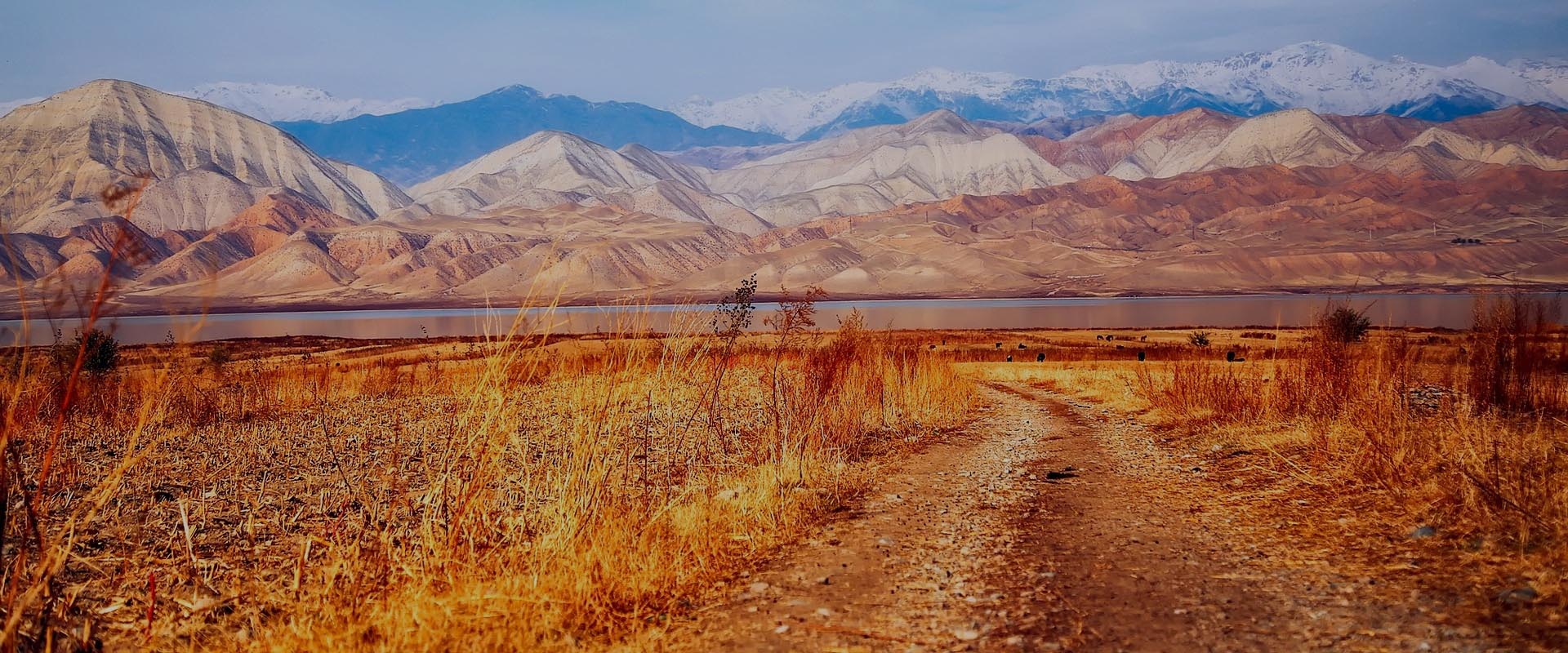 internet mobilny kirgistan